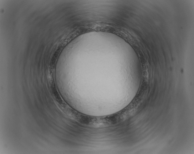 X0000078270607200612011721