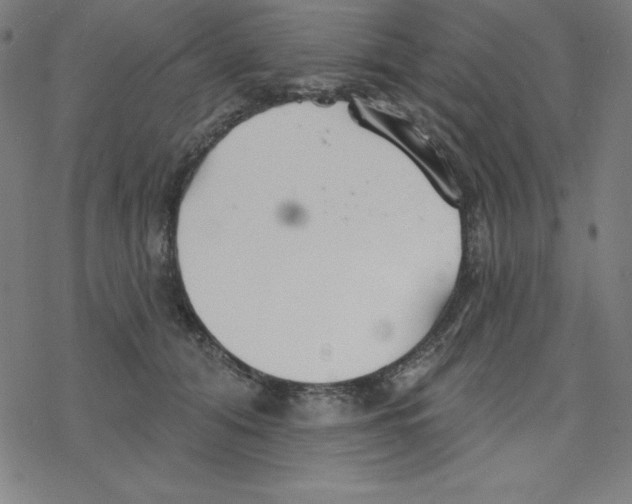 X0000078270608200612011721