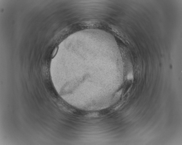 X0000078270609200612011721