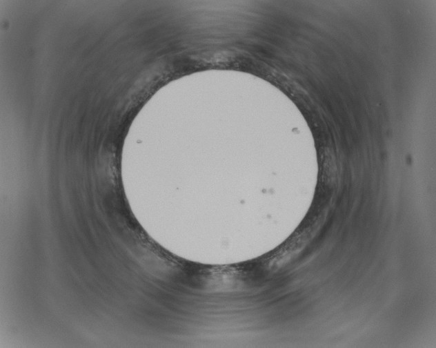 X0000078270612200612011721