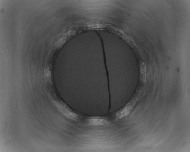 X0000078270614200612011721