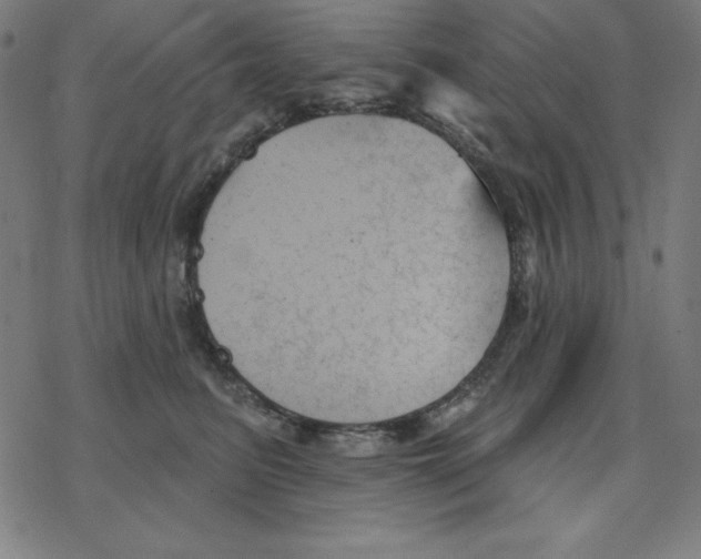 X0000078270615200612011721