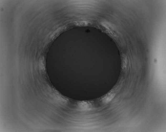 X0000078270616200612011721