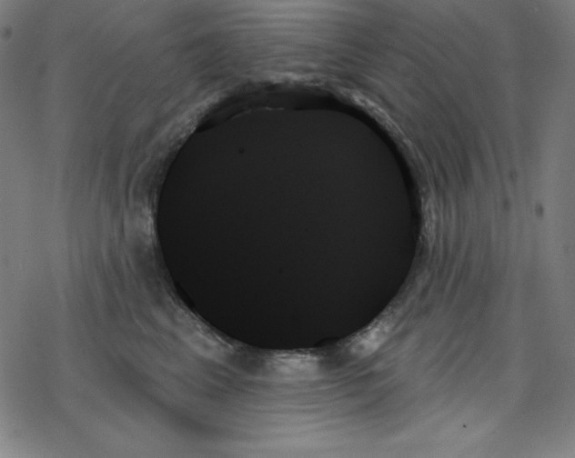 X0000078270617200612011721