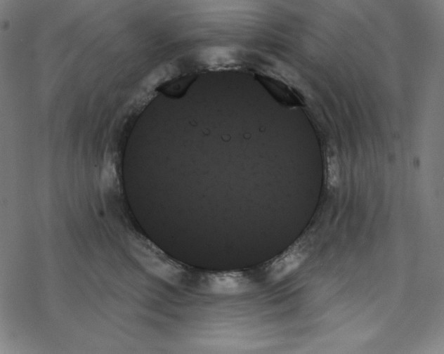 X0000078270618200612011721