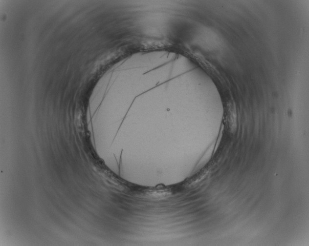 X0000078270619200612011721