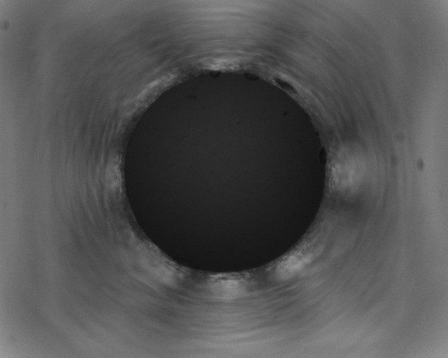 X0000078270620200612011721