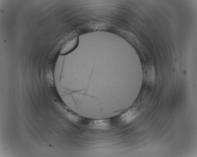 X0000078270622200612011721