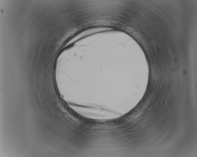 X0000078270625200612011720