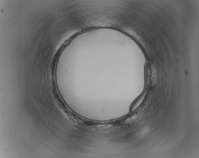 X0000078270626200612011720