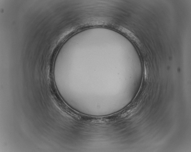 X0000078270627200612011720