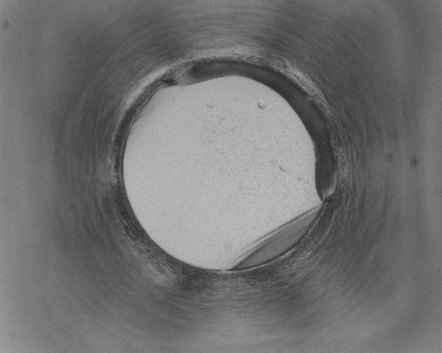 X0000078270628200612011720