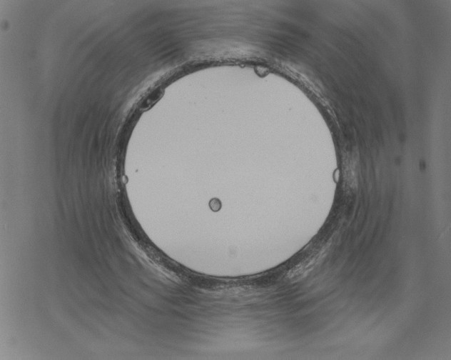 X0000078270629200612011720