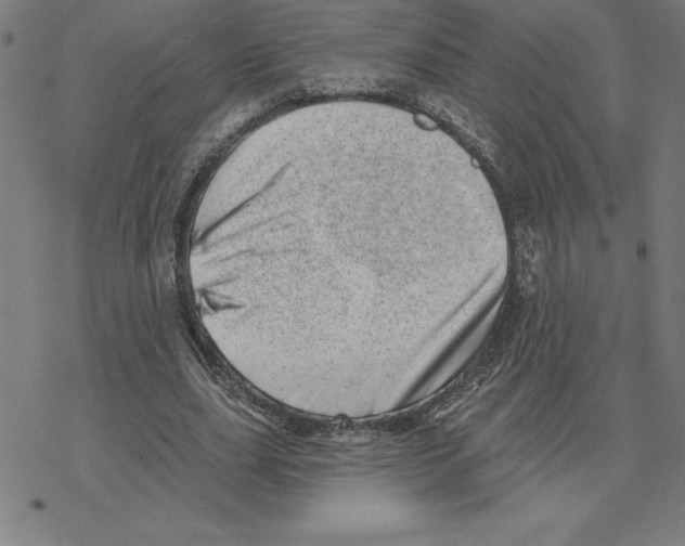 X0000078270631200612011720