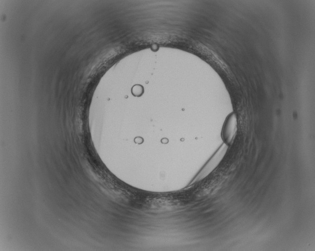 X0000078270635200612011720