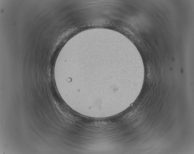 X0000078270636200612011720