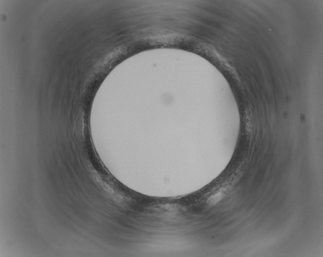 X0000078270637200612011720