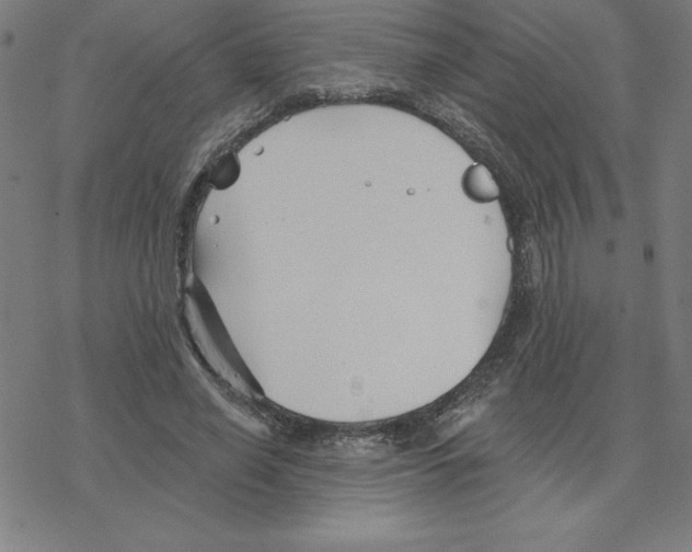 X0000078270638200612011720