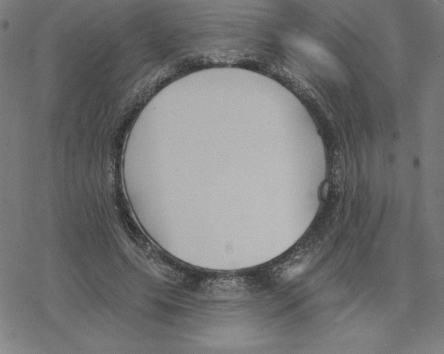 X0000078270639200612011720