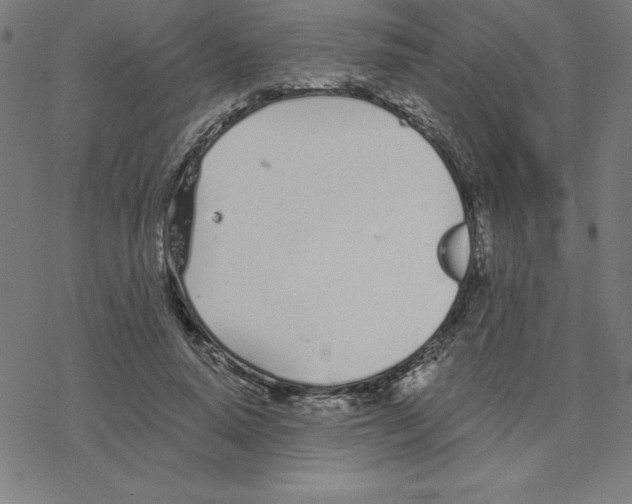 X0000078270640200612011720