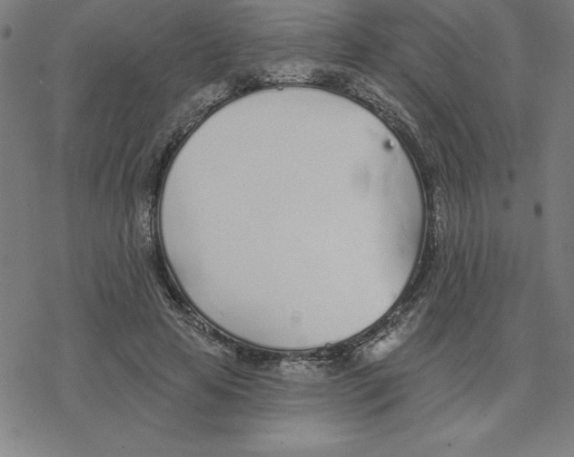 X0000078270641200612011720