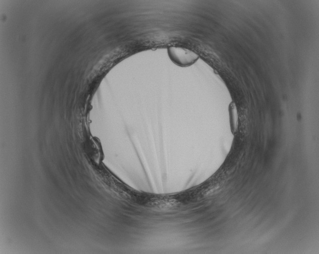 X0000078270642200612011720