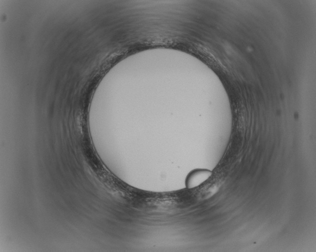 X0000078270643200612011720