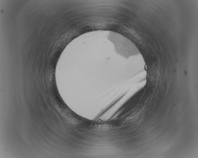 X0000078270645200612011720