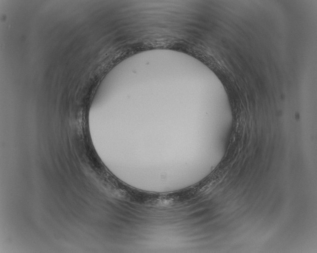 X0000078270647200612011720