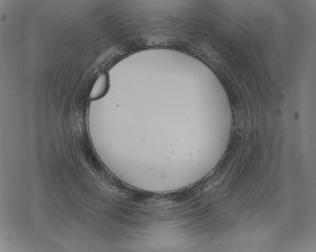 X0000078270648200612011720