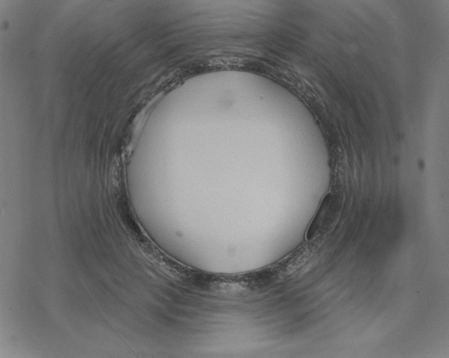 X0000078270649200612011720