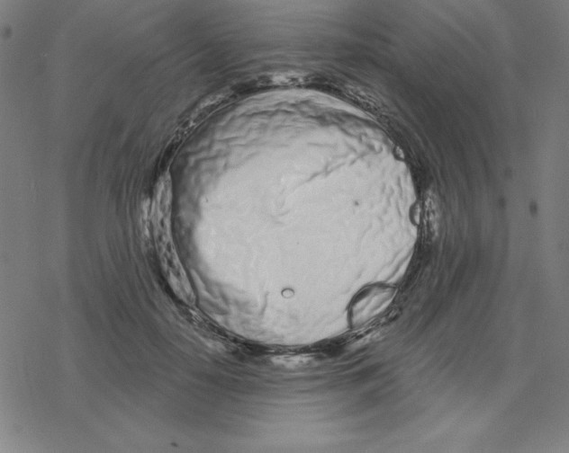 X0000078270650200612011720