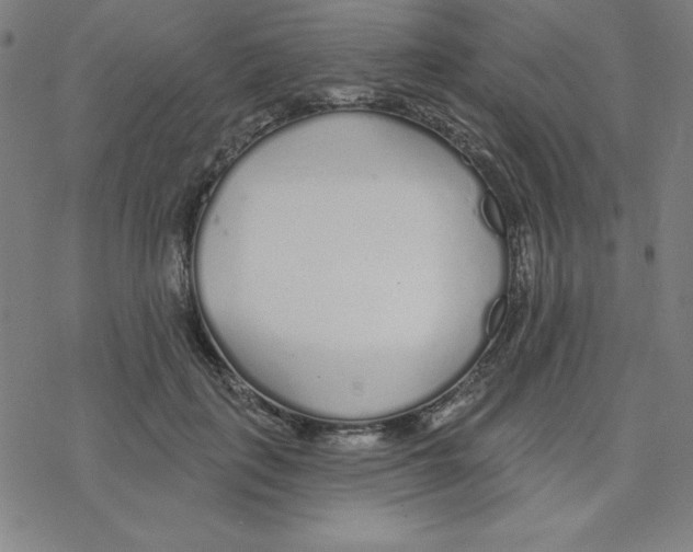 X0000078270651200612011720