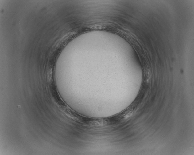 X0000078270652200612011720