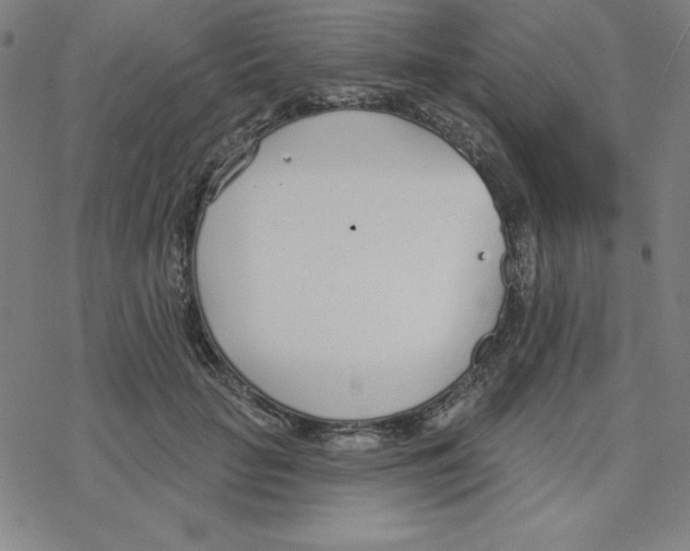 X0000078270653200612011720