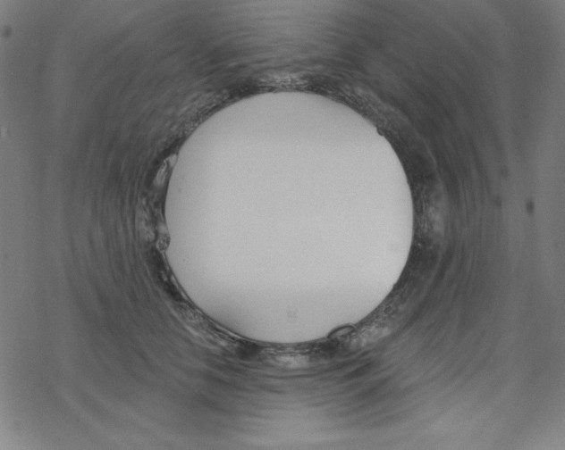 X0000078270658200612011720