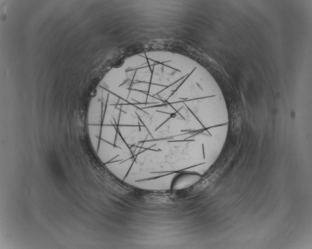 X0000078270661200612011720