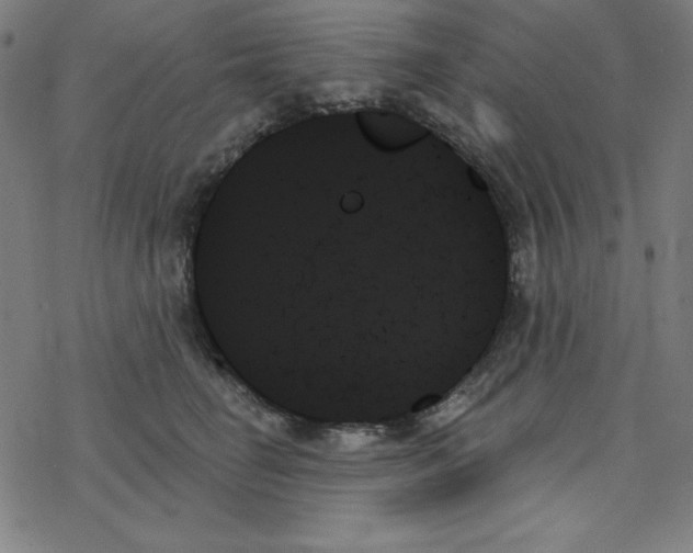 X0000078270662200612011721