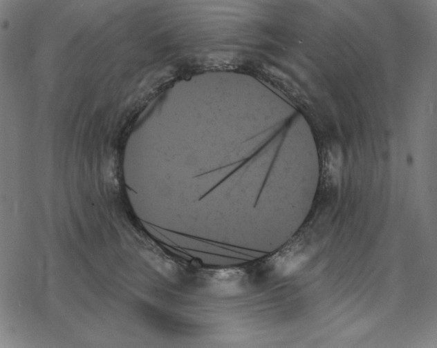 X0000078270663200612011721