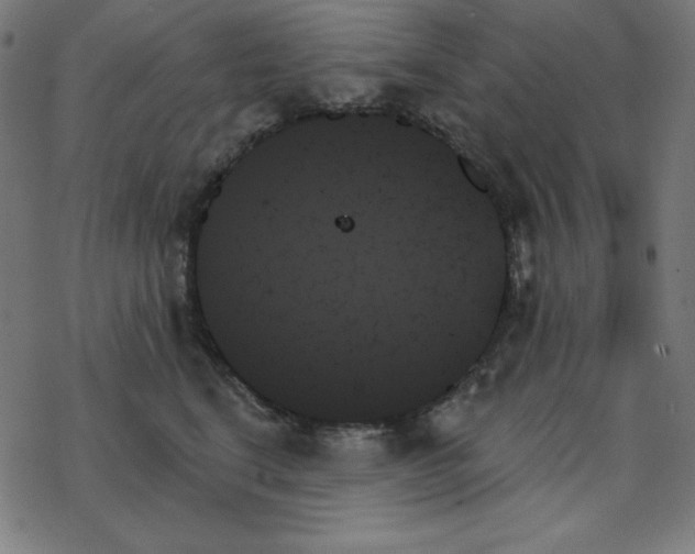 X0000078270664200612011721