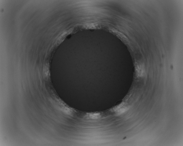 X0000078270665200612011721