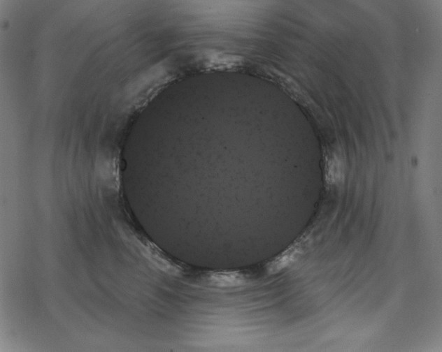 X0000078270666200612011721