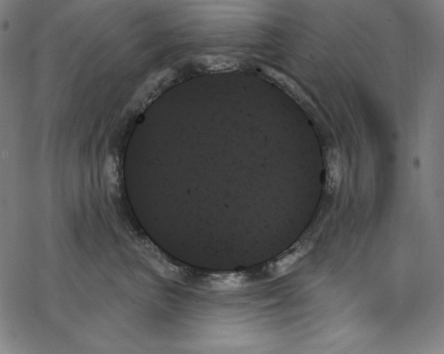 X0000078270667200612011721