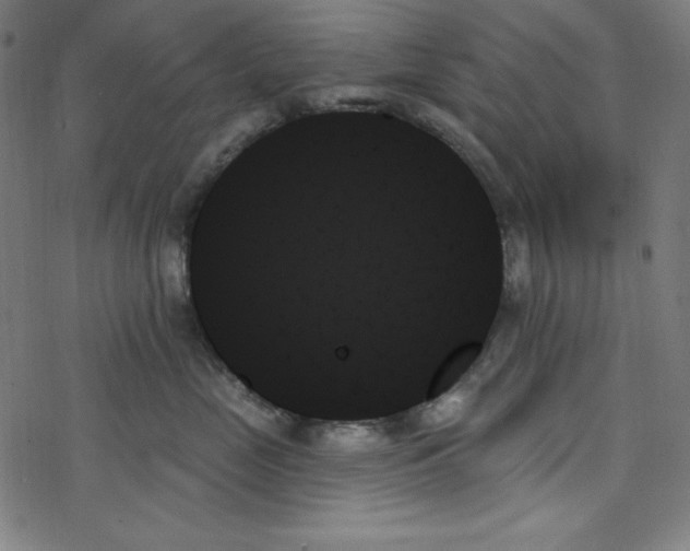 X0000078270669200612011721