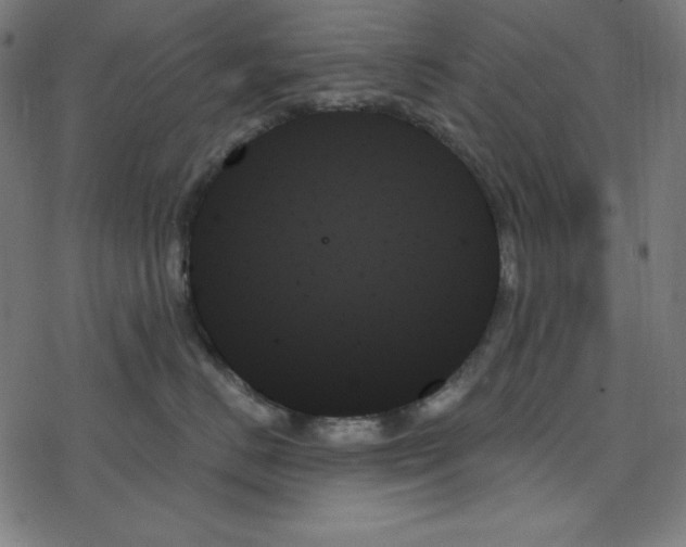 X0000078270670200612011721