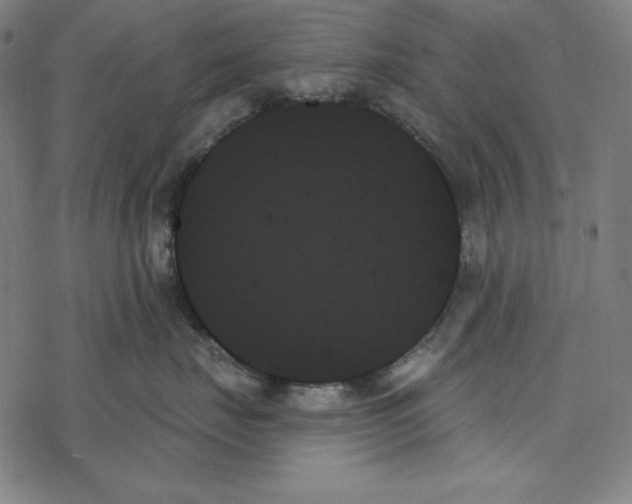 X0000078270671200612011721