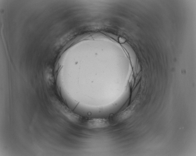 X0000078270672200612011721