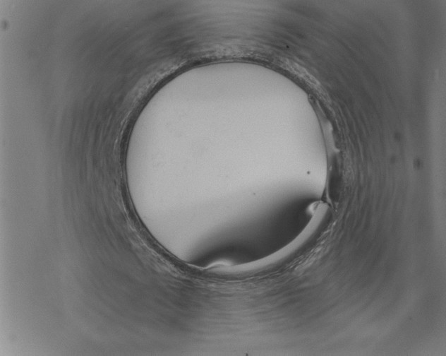 X0000078270673200612011720