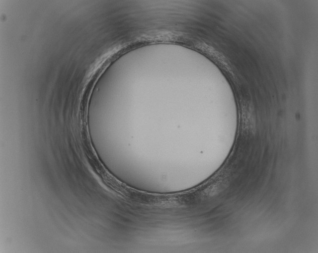 X0000078270674200612011720