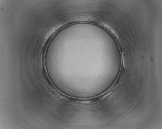 X0000078270675200612011720